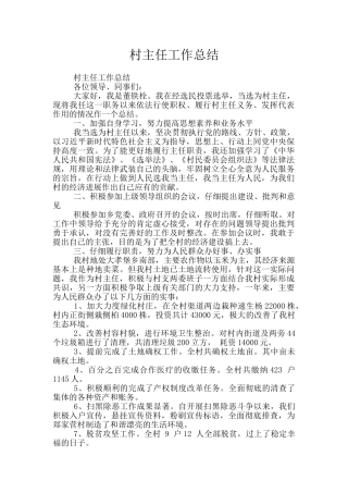 村主任工作总结