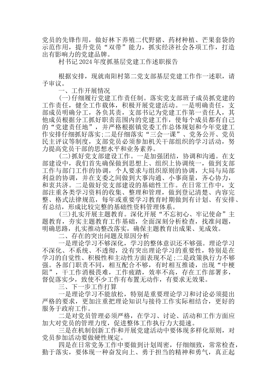村书记2024年度抓基层党建工作述职报告_第2页