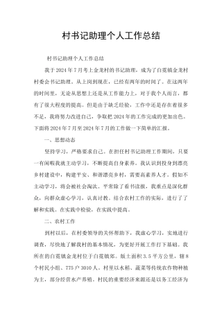 村书记助理个人工作总结