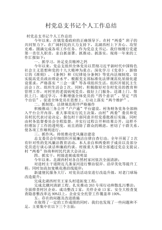 村党总支书记个人工作总结