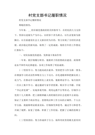 村党支部书记履职情况