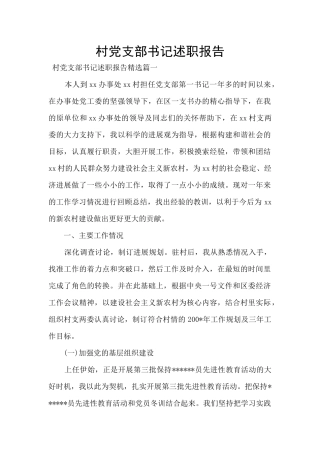 村党支部书记述职报告