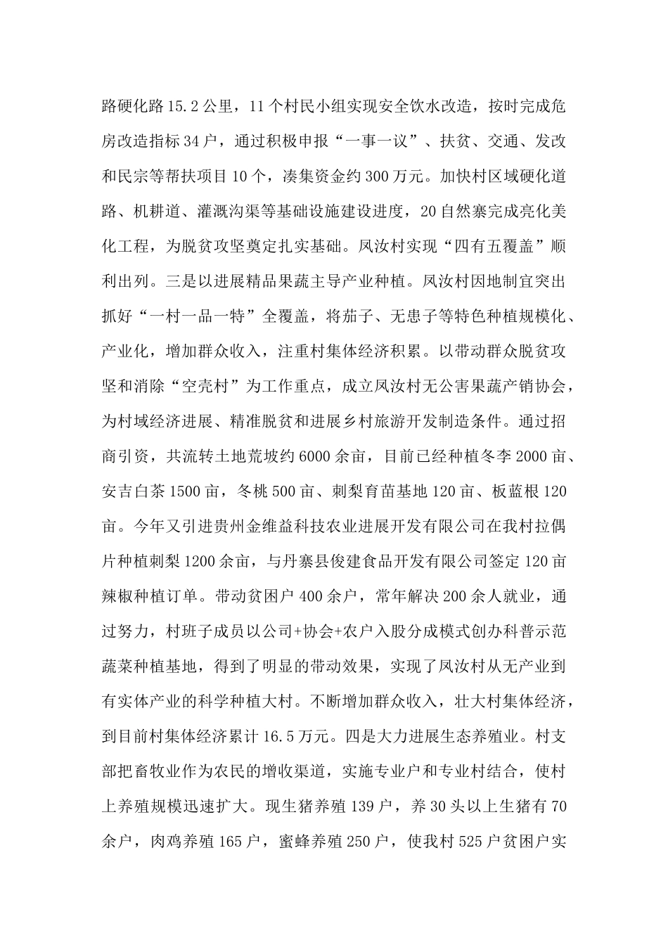 村党支部脱贫攻坚多项举措总结_第2页