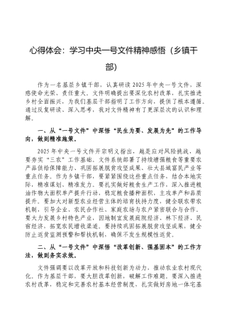 心得体会：学习2025年中央一号文件精神感悟（乡镇干部）