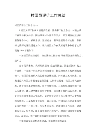 村团员评价工作总结