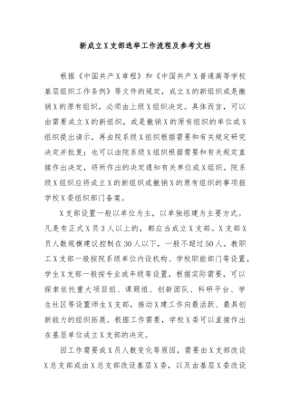 新成立党支部选举工作流程及参考文档