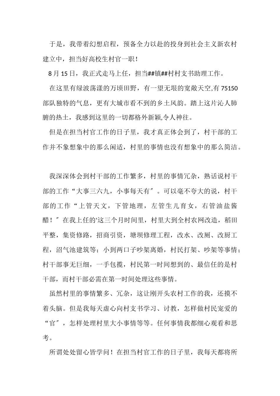 村支书助理工作总结_第2页