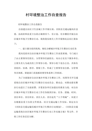 村环境整治工作自查报告