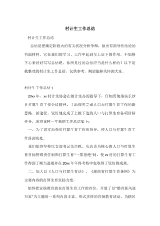 村计生工作总结