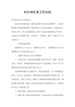 村计划生育工作总结