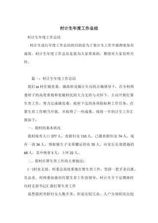 村计生年度工作总结