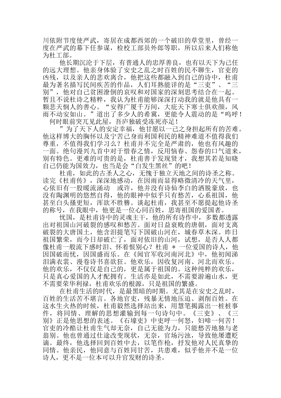 杜甫传记读后感_第2页