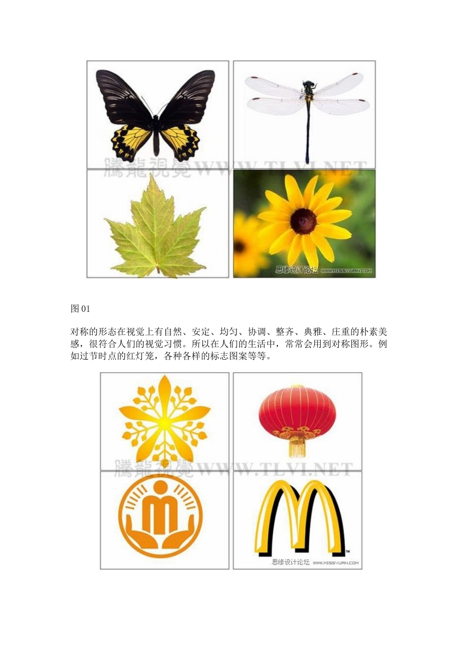 构图技巧之对称和平衡讲义_第2页