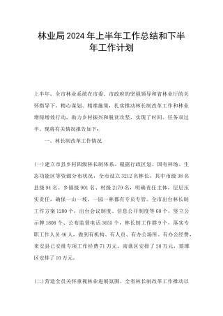 林业局2024年上半年工作总结和下半年工作计划
