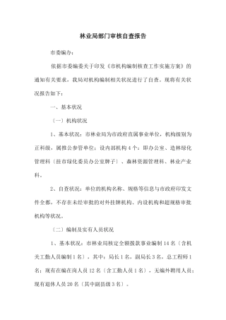 林业局部门审核自查报告