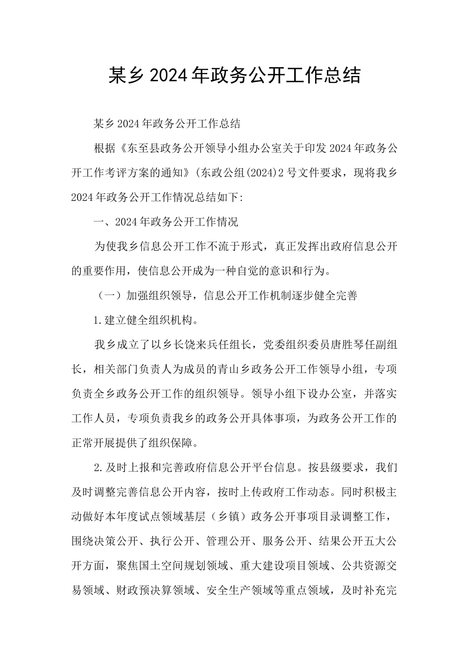 某乡2024年政务公开工作总结_第1页