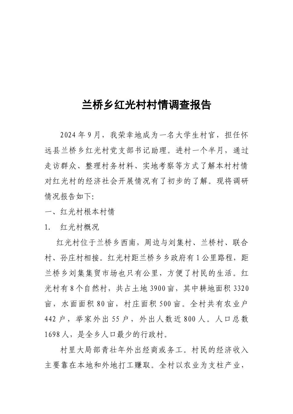 某乡村情调查报告_第1页