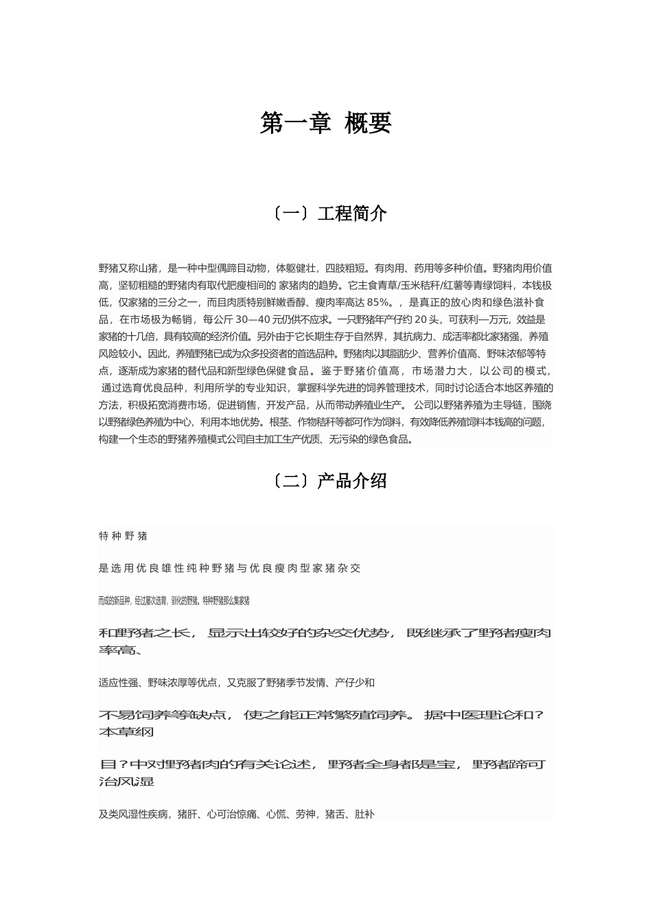 某公司企划书_第1页