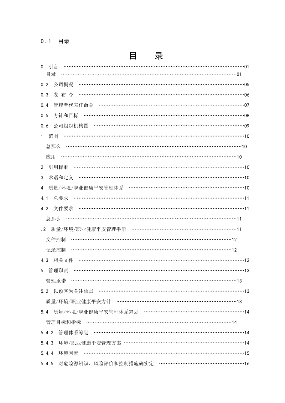 某公司职业健康安全管理手册_第1页