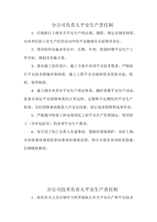 某公司负责人安全生产责任制范本