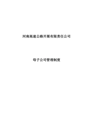 某公路发展公司母子公司管理规则