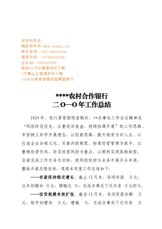 某农村合作银行年度工作总结
