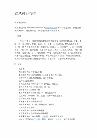 臂丛神经损伤的分类与图谱