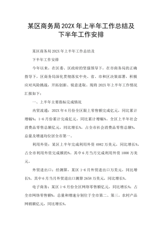 某区商务局202X年上半年工作总结及下半年工作安排