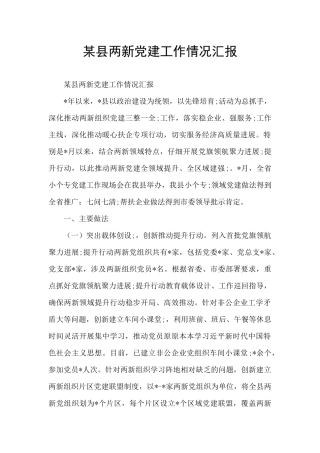 某县两新党建工作情况汇报