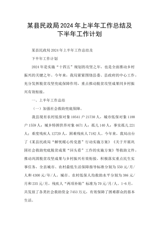 某县民政局2024年上半年工作总结及下半年工作计划