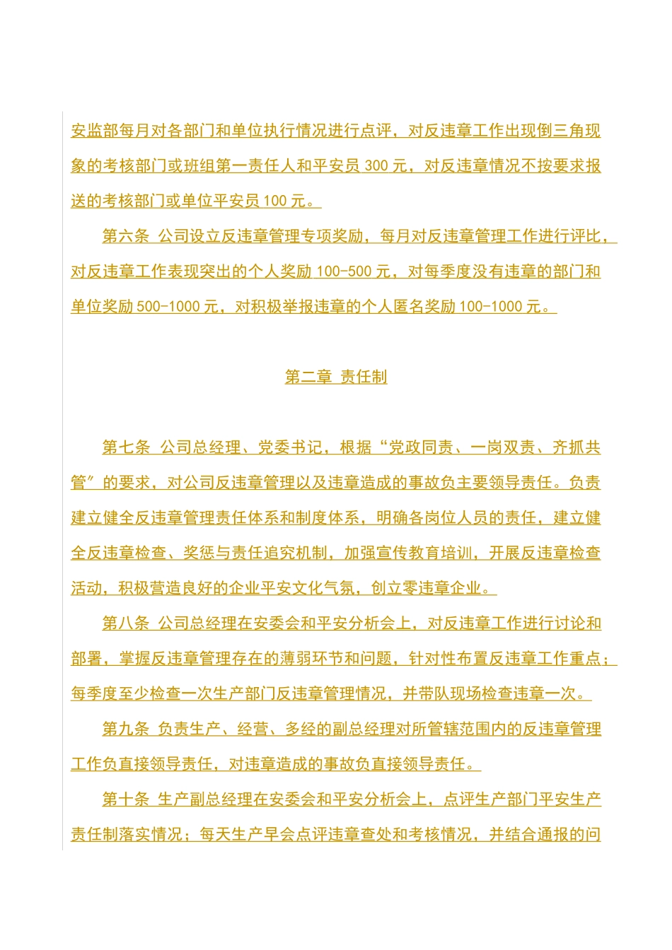 某发电有限责任公司反违章管理办法_第2页