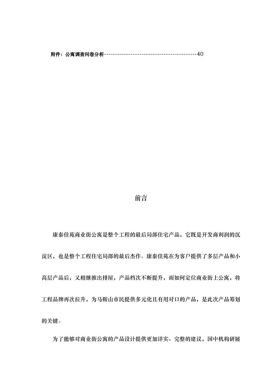 某商业街公寓产品定位策划方案_第3页