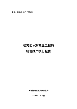 某商业项目销售推广执行报告