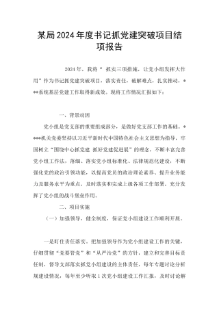某局2024年度书记抓党建突破项目结项报告