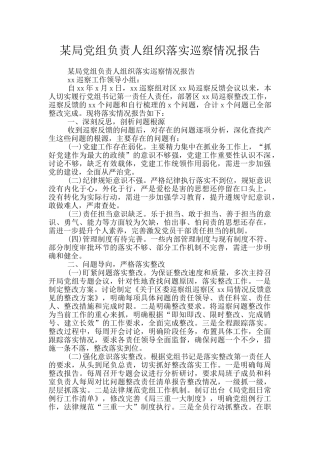 某局党组负责人组织落实巡察情况报告