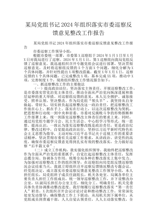 某局党组书记2024年组织落实市委巡察反馈意见整改工作报告
