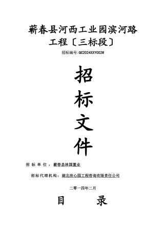 某工业园滨河路二次招标文件范本