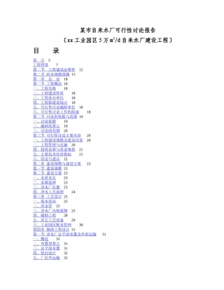 某市自来水厂可行性研究报告
