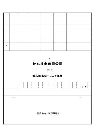 某核电有限公司岗位描述书填写导则