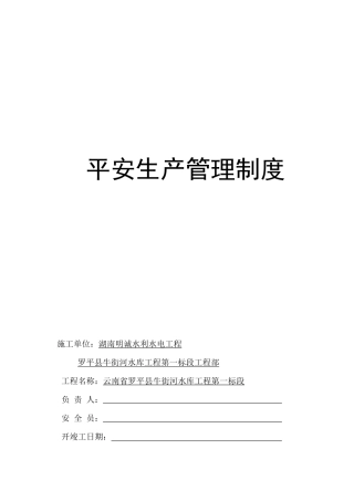 某水利水电工程有限公司安全生产管理制度汇编