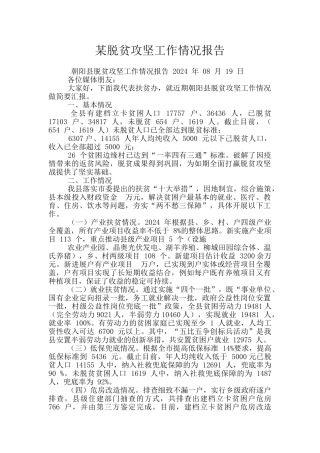 某脱贫攻坚工作情况报告