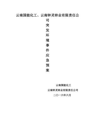 某锌业有限责任公司突发环境事件应急预案