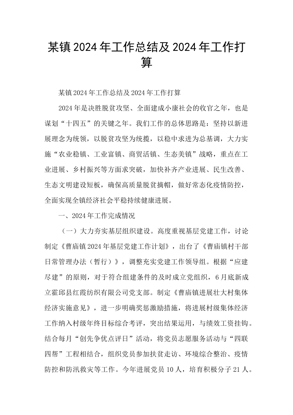 某镇2024年工作总结及2024年工作打算_第1页