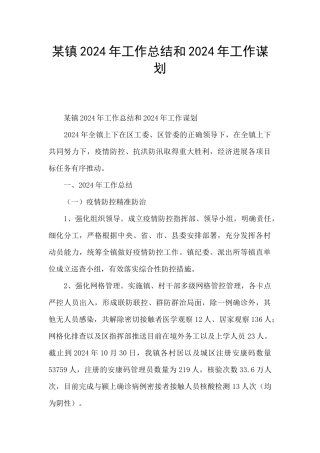 某镇2024年工作总结和2024年工作谋划