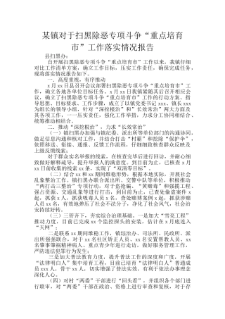某镇对于扫黑除恶专项斗争“重点培育市”工作落实情况报告