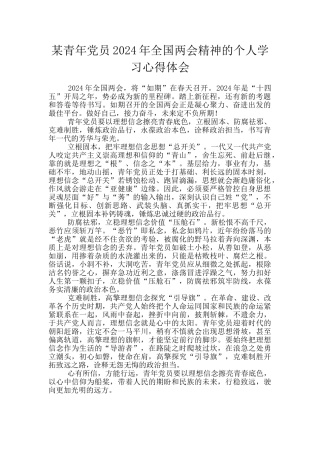 某青年党员2024年全国两会精神的个人学习心得体会