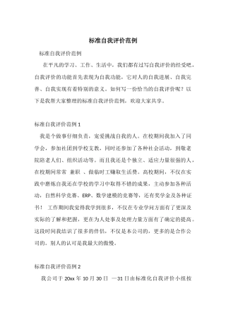 标准自我评价范例