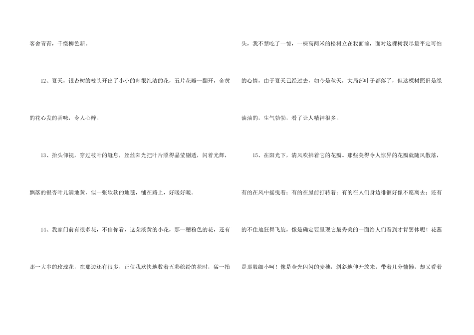 树的优美语句集锦85条_第3页