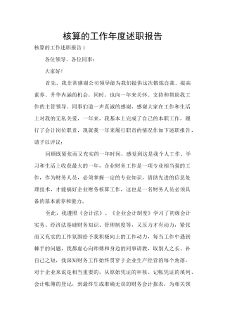 核算的工作年度述职报告