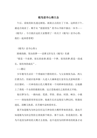 根鸟读书心得大全